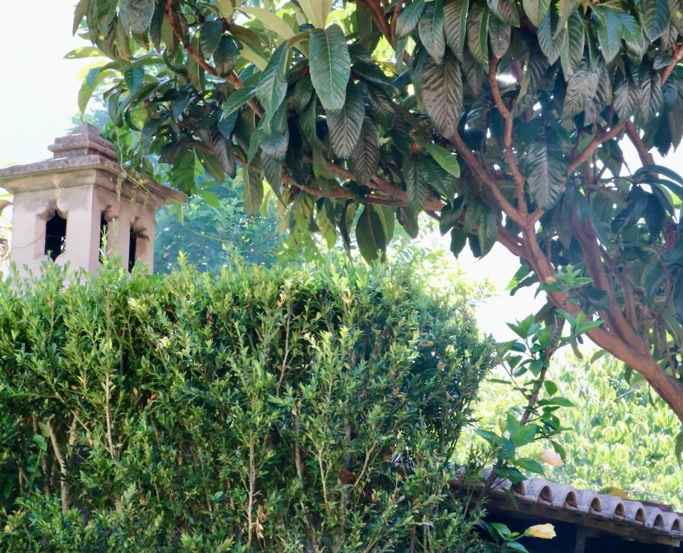 Mountain View Villa São Vicente Portugalsko